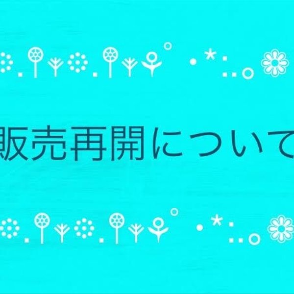 ＊販売再開について【現在販売をストップしております】