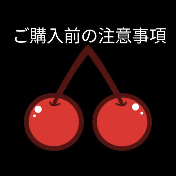 ☆★ご購入される前にお読み下さい★☆