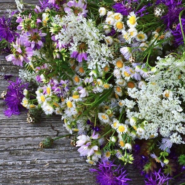 季節の花束おまかせ〜Blue Bouquet〜