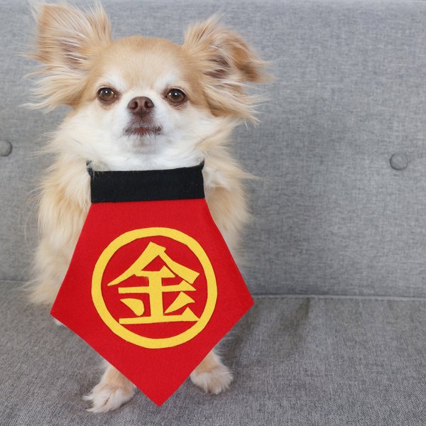 ◎◎◎金太郎 衣装 コスプレ  犬 猫　ペット　服