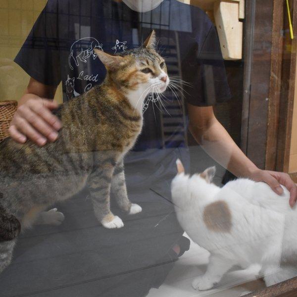 繁忙期についてのお願い