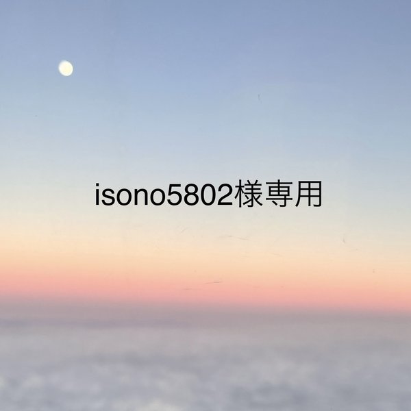 isono5802様専用ご購入ページ