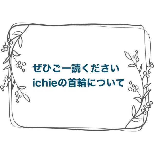 『ichieの首輪について』😸