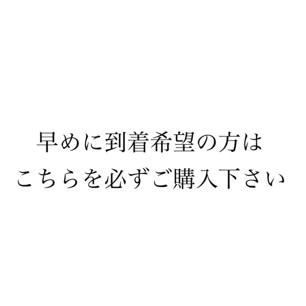 [早め到着希望の方はこちらをご購入ください　レターパックプラスにて発送希望の方　インド刺繍リボン　花　インド刺繍　スパンコール　刺繍リボン　リボン　りぼん