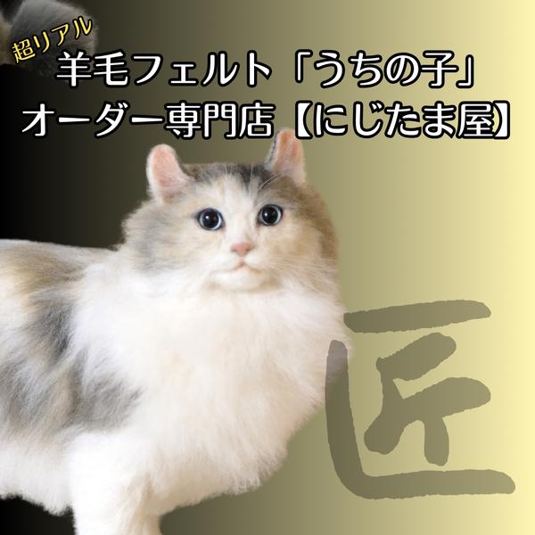 リアル羊毛フェルト「うちの子」オーダー　にじたま屋　ぬいぐるみ 猫 犬  そっくり ﾘｱﾙ ﾍﾟｯﾄ ｽｺﾃｨｯｼｭ ﾗｸﾞﾄﾞｰﾙ ﾗｶﾞﾏﾌｨﾝ ﾉﾙｳｪｰｼﾞｬﾝ