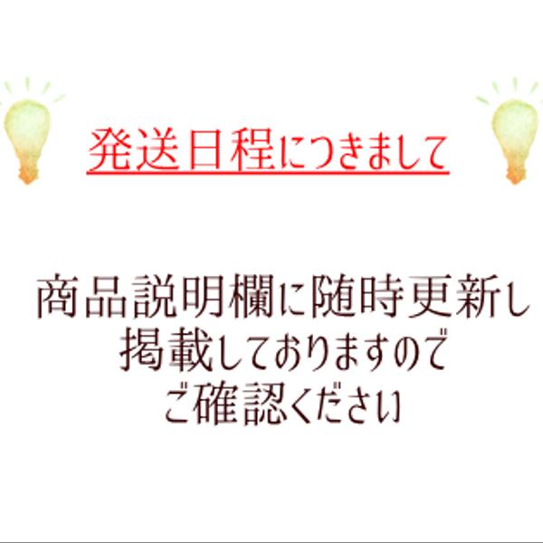 発送日程につきまして【随時更新中】