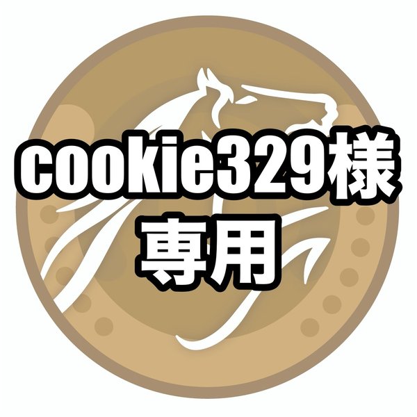 【幸運を呼ぶホースシュー 黄金】cookie329様専用出品 