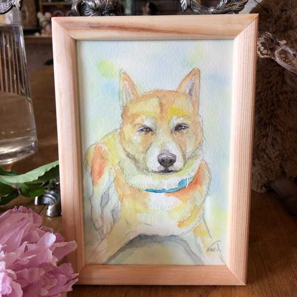 [売約済み]MIX犬のごんちゃんの肖像画（絵画水彩画）