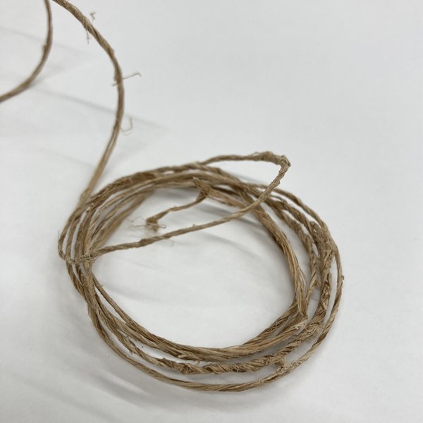 蓮の糸（茄糸）はすの実2個付き