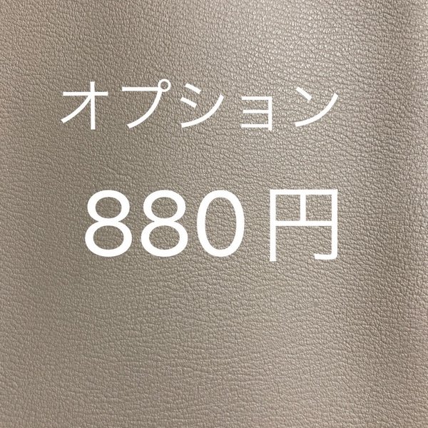 880円　専用ページ