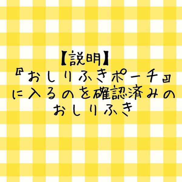 【説明】おしりふきポーチに入るのを確認済みのおしりふき