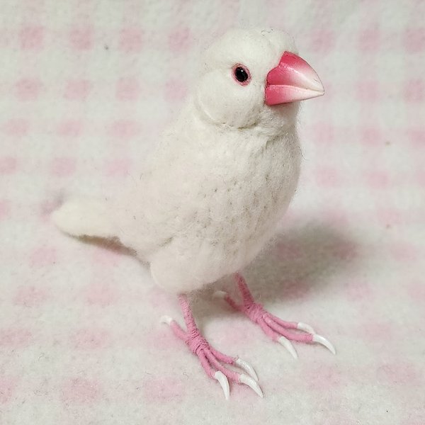 リアルサイズ  白文鳥 Wool figure　life size ★Java sparrow★ Stuffed wool ★ クチバシの色相談可能  鳥のオブジェ リアルバード　受注作成