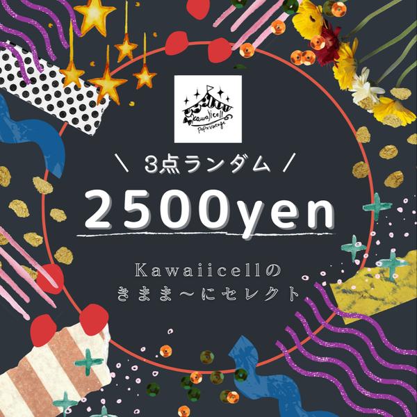 ★何が当たるかお楽しみ🎉🎁 3点ランダムで2500円 Kawaiicellのきまま〜にセレクト！