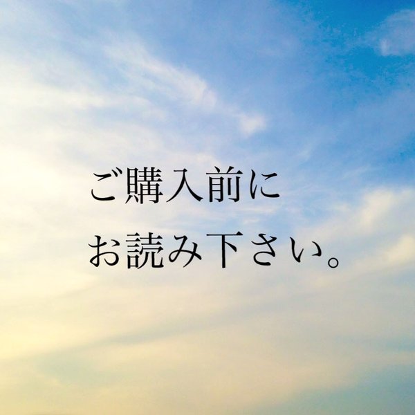 2023.9月更新　ご購入前にお読みください　