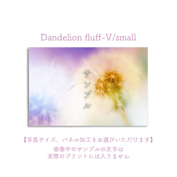 Dandelion fluff-V/small　ポスター【写真サイズ、パネル加工をお選びいただけます】 