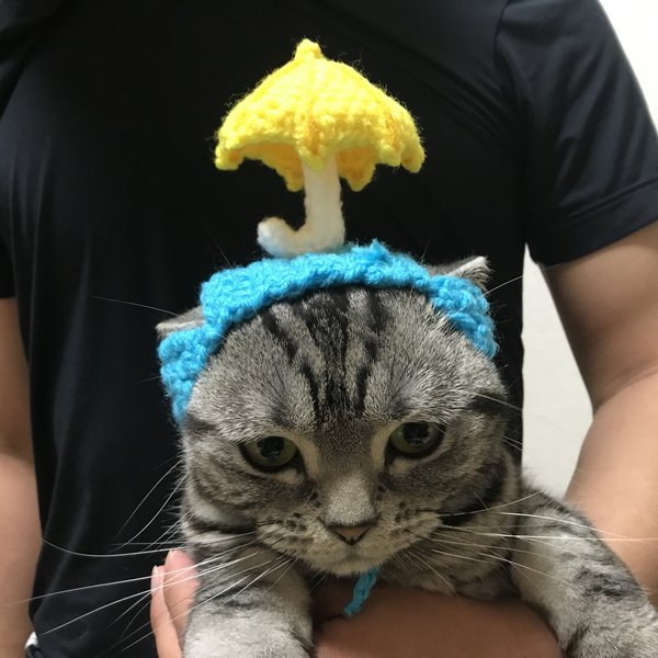 再再販！猫用帽子 傘