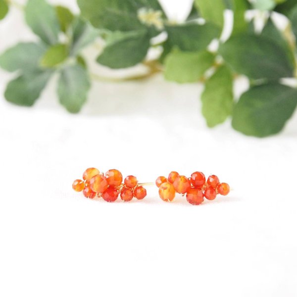 Cloudberry 