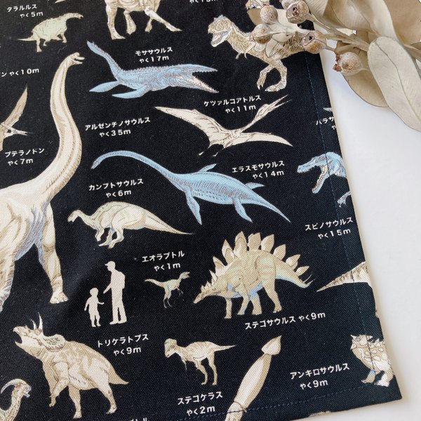 再販7　ランチョンマット　ランチマット　給食マット　　男の子　女の子　動物　恐竜　ティラノサウルス　トライセラトプス　恐竜図鑑