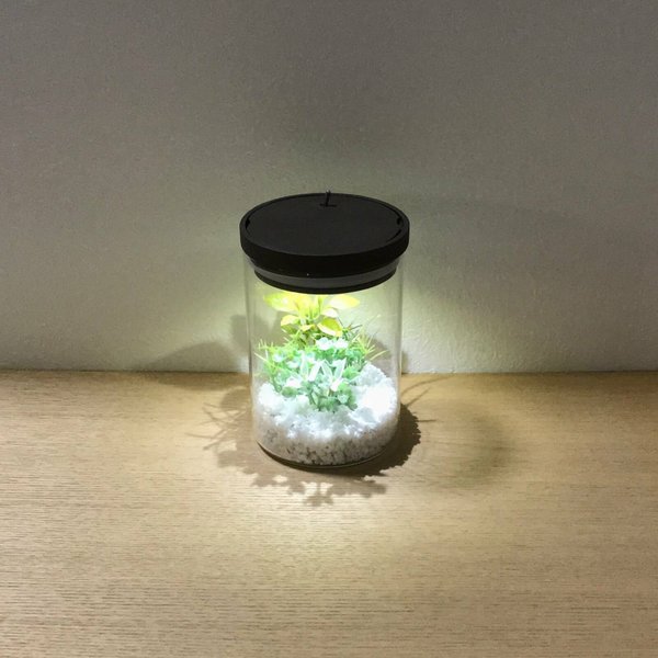 bottle terrarium mini [cool]