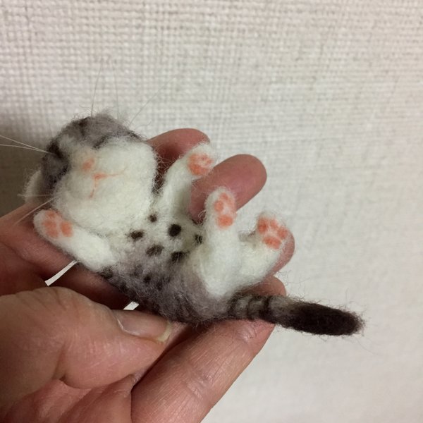 おひるね子猫