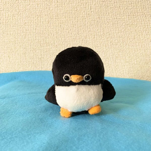 プチペンギンのぬいぐるみ