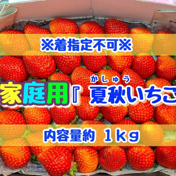 ご家庭用　夏秋いちご（内容量約1kg）