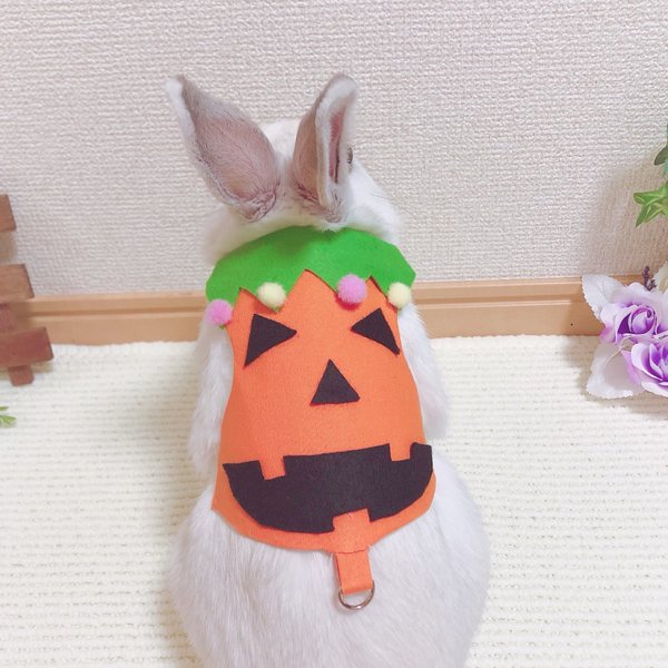 ♡うさぎハーネス♡ハロウィン♡メンズ♡