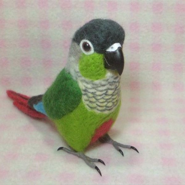 ほぼライフサイズ♪ ホオミドリアカオウロコインコ  Green-cheeked Parakeet 羊毛インコ 鳥のオブジェ リアルバード 受注制作　オーダー可能