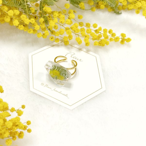 mimosa    series ring