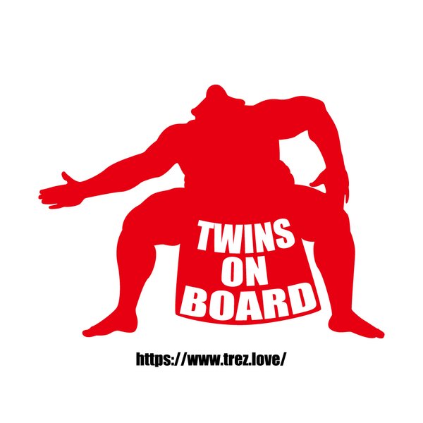 全10色 TWINS ON BOARD 相撲 どすこい ステッカー 