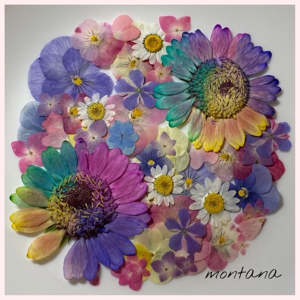 ガーベラ 花材のハンドメイド 手作り通販 Minne 日本最大級のハンドメイドサイト ガーベラ 花材のハンドメイド 手作り通販 Minne 日本最大級のハンドメイドサイト