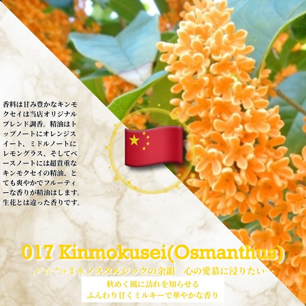 017：金木犀(オスマンサス) /Kinmokusei〜Osmanthus〜 (試香用サンプル配布)　＊香り詳細と商品紹介＊