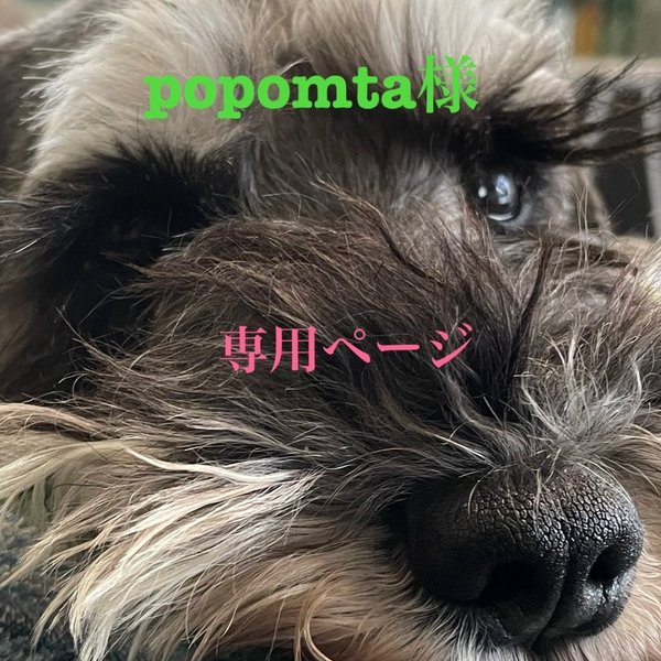 popomta様専用ページ