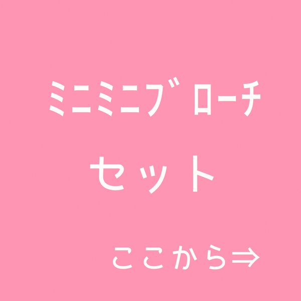 ここから⇒　お得なﾐﾆﾐﾆﾌﾞﾛｰﾁセット