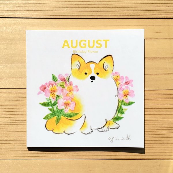 ８月の誕生花集「AUGUST」