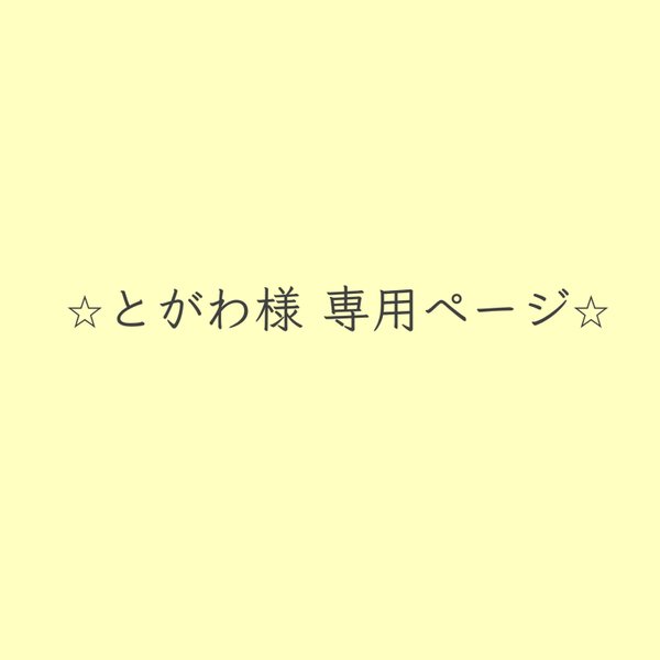 とがわ様専用☆コットン☆ひらひら ブリム ハット