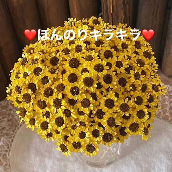 ほんのりキラキラ❣️向日葵🌻スターフラワーブロッサムアレンジ加工30輪販売❣️ハンドメイド花材カラードライフラワー