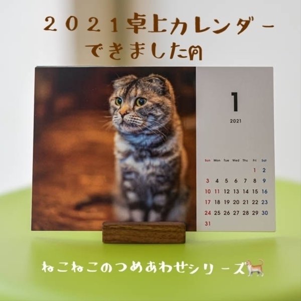 ねこねこのつめあわせ 2021年 卓上カレンダー