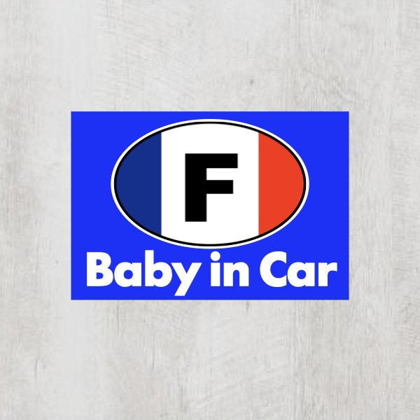 Fフランス＊ビークルID【Baby in Car/ベビーインカー】マグネット仕様