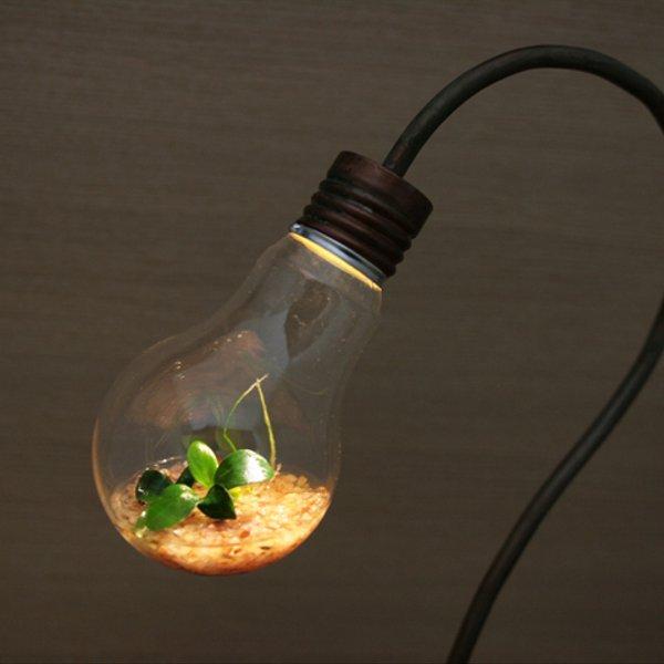 bulb terrarium