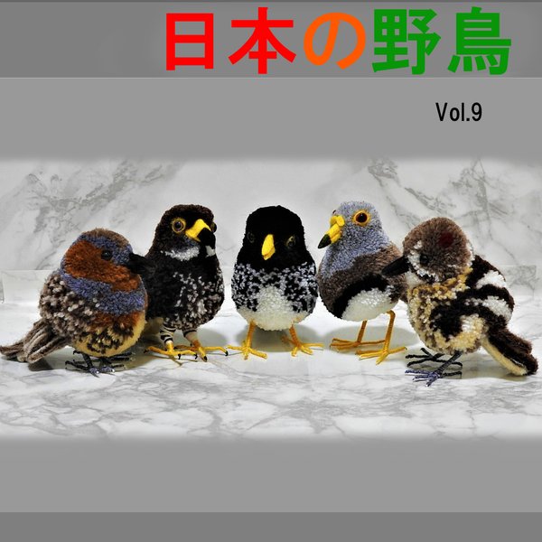 ぽんぽんでつくる日本の野鳥Vol.9