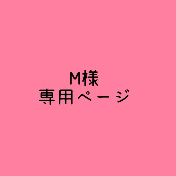 M様様専用ページ𓅪ウェットテッシュケース𓅪ꪔ̤̫オムツポーチꪔ̤̫