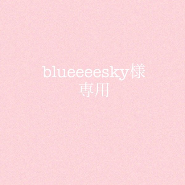 blueeeesky様専用