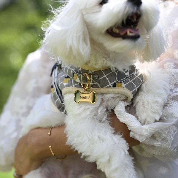 世界に一つだけの犬猫用プレートキーホルダー