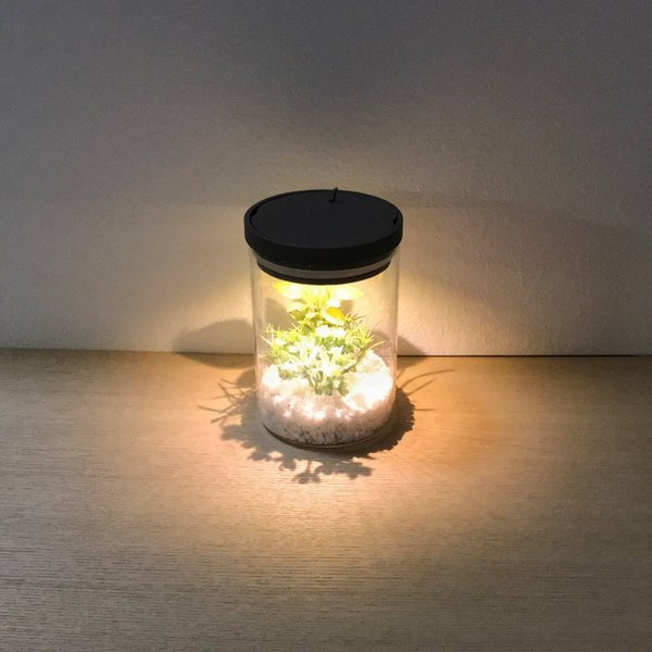 bottle terrarium mini [warm]