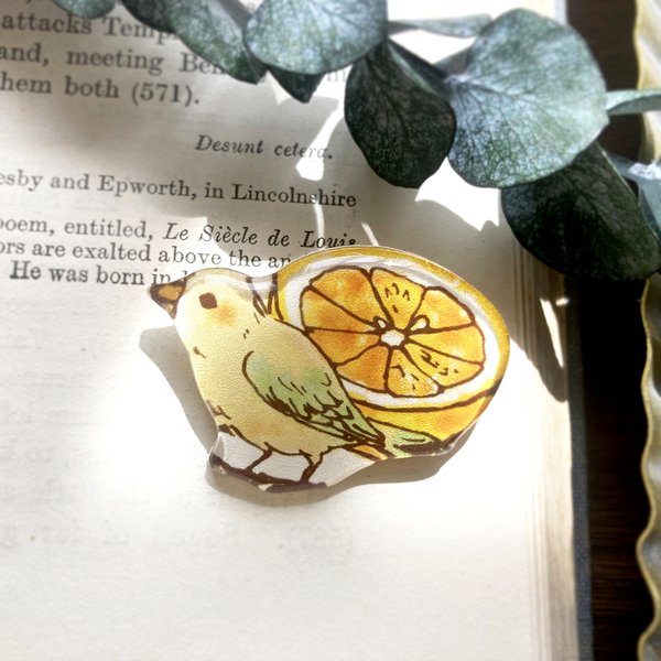 Grapefruit&bird brooch｜グレープフルーツと小鳥ブローチ〔動物・鳥シリーズ〕 