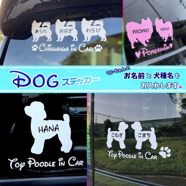 うちの子お名前入りシルエット ★ Dog in Car わんちゃんステッカー　　デザインは3タイプ♪　多頭飼いの方もどうぞ☆