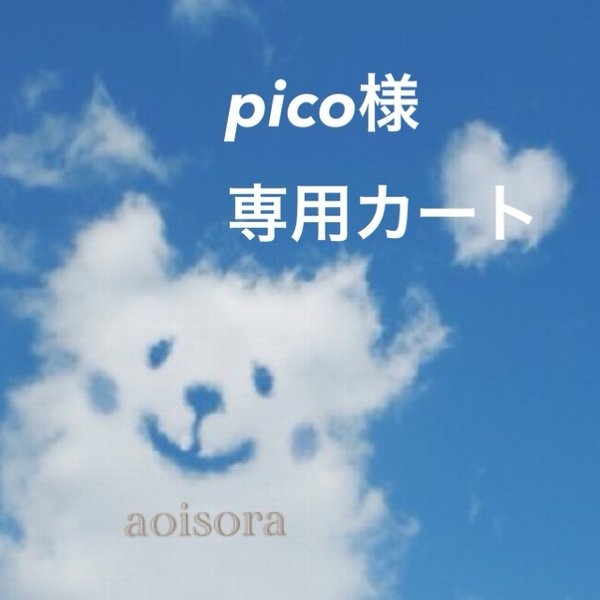 pico様専用カート