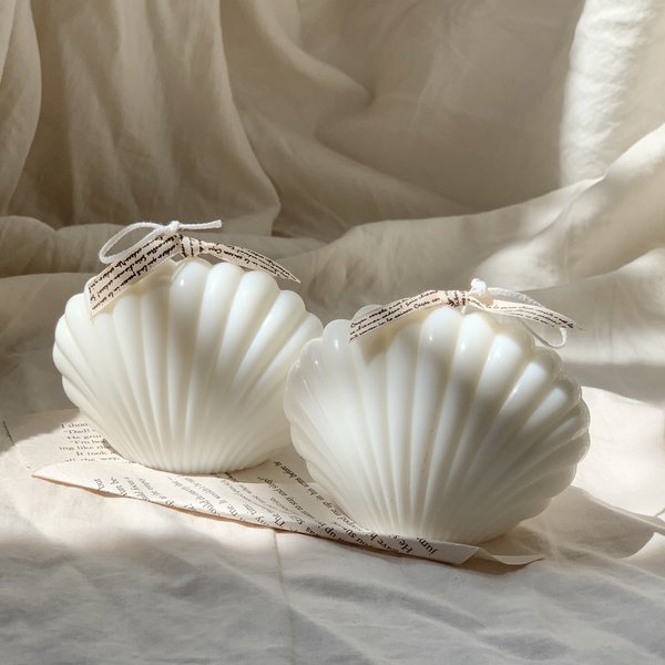 White shell ⌇ホワイトシェルキャンドル