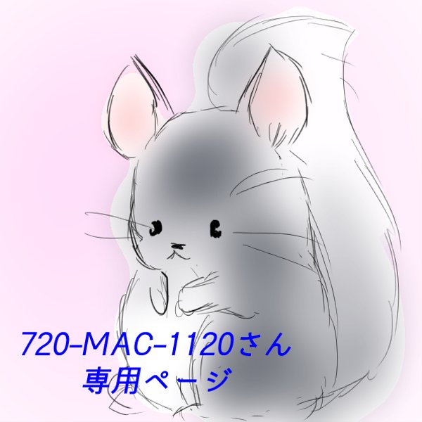 720-mac-1120様専用ページ